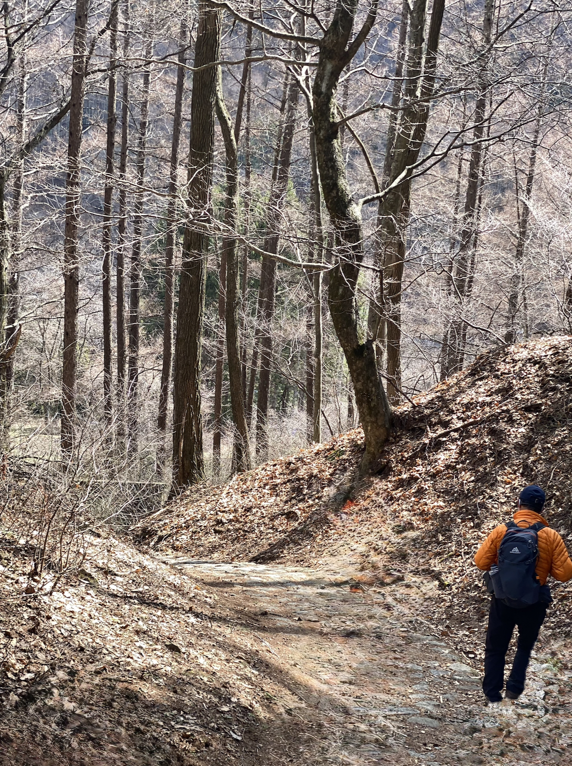 Quiet scenery along the Yabuhara to Narai walk