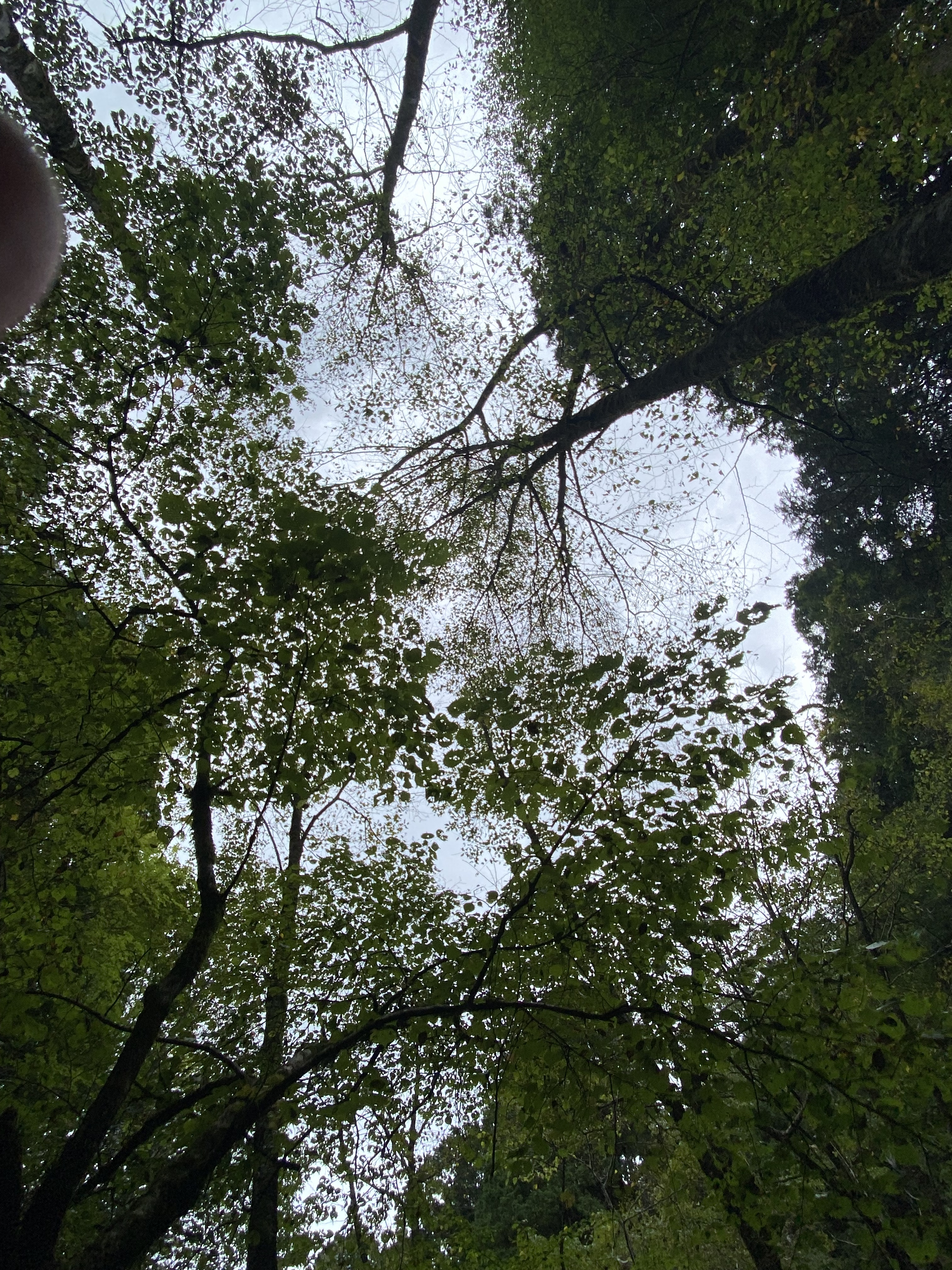Torii Pass landscape on the Nakasendo between Yabuhara and Narai